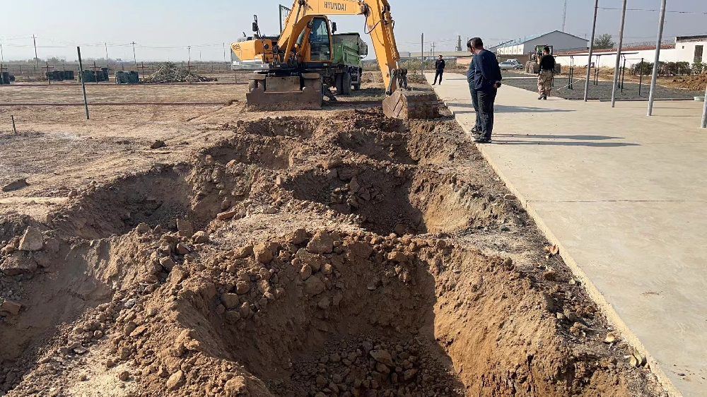 不負好時光  添綠正當(dāng)時